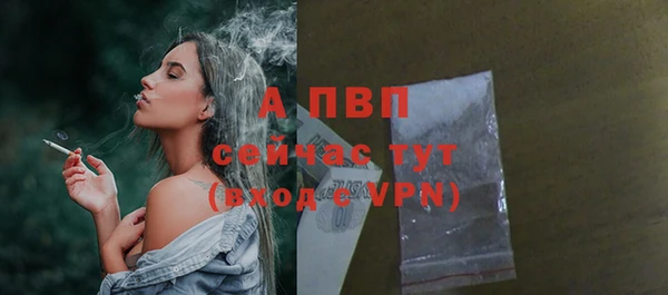 индика Покров