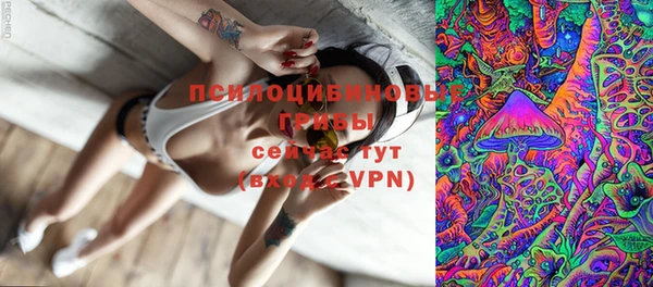 синтетический гашиш Пестово
