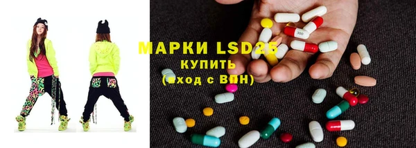 индика Покров