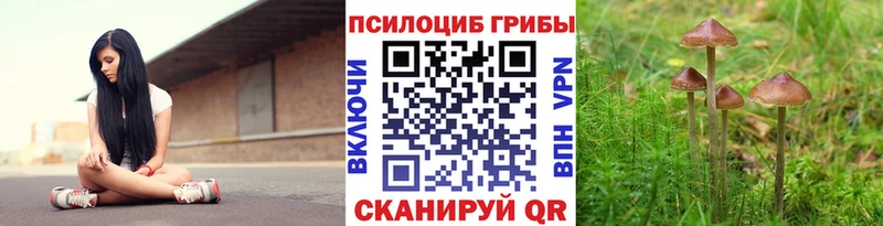 omg вход  мориарти как зайти  Псилоцибиновые грибы Psilocybe  Кирсанов 